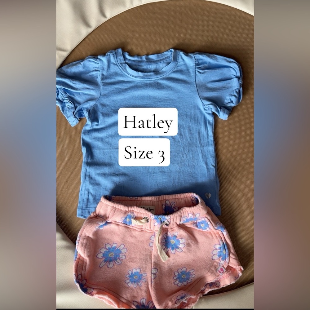 Hatley Sky Blue Puff Sleeve Tee with Pink Floral Shorts Set